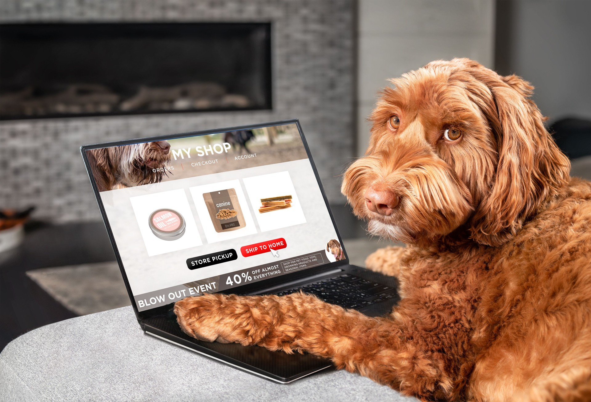 Website Design - Digitalliance